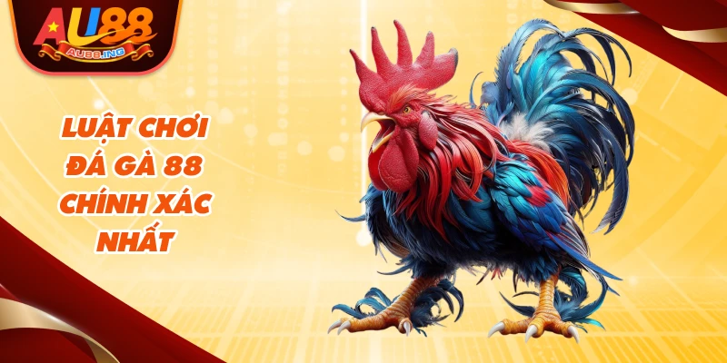 Luật chơi đá gà 88 chính xác nhất
